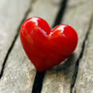 Meet your Posher, Gloria